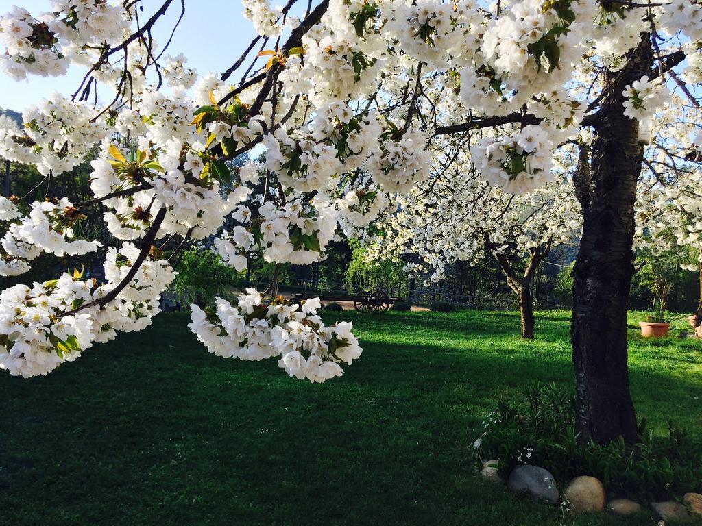 Ca Di Voi Villa Calizzano Dış mekan fotoğraf